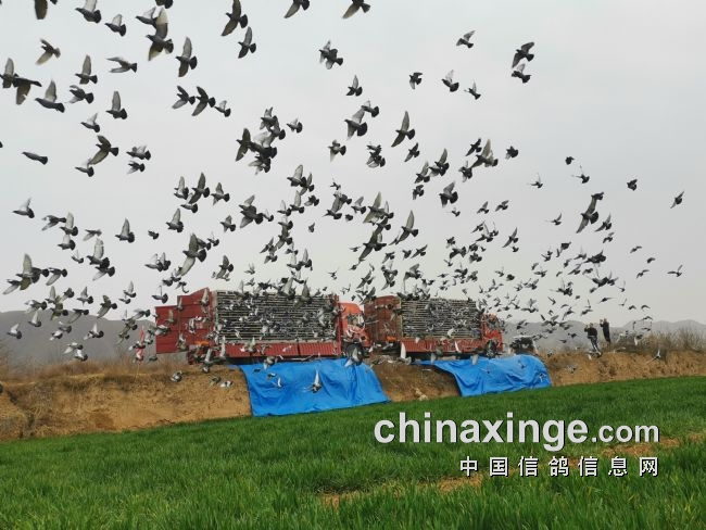 ���Դ�������������ѵ��һǹ��ͼ��