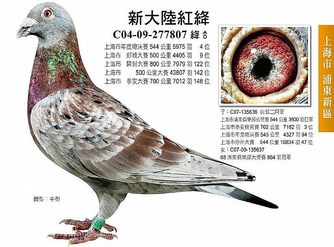 �Ϻ��´�½���ø߻����ָ�