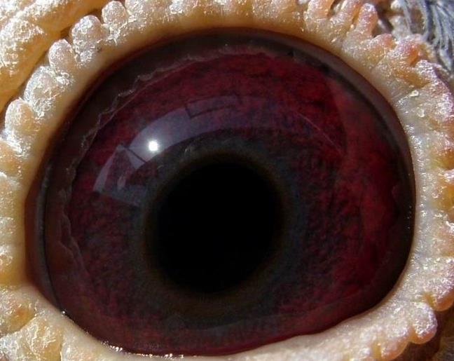 ����Ʒ����̨���ĺ����̺�Ŀ