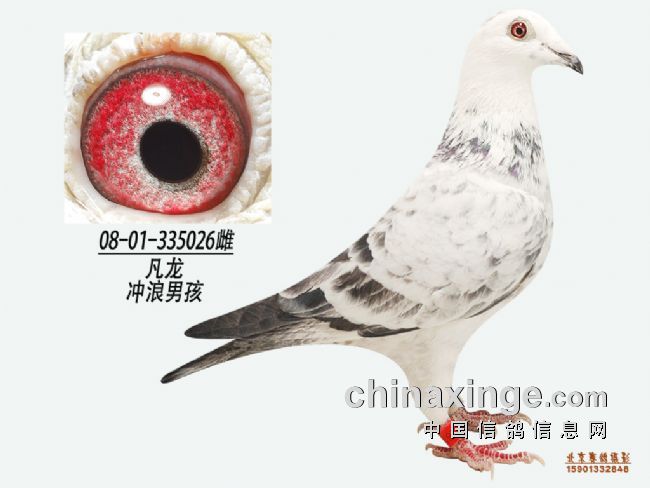 ÿ��һ�룺����֮�������к���(ͼ)