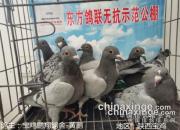 �������������޿�ʾ�����￪���ո�