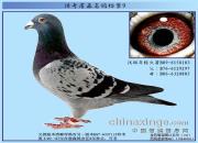 ����ղɭ���뵵��֮���ϵ��