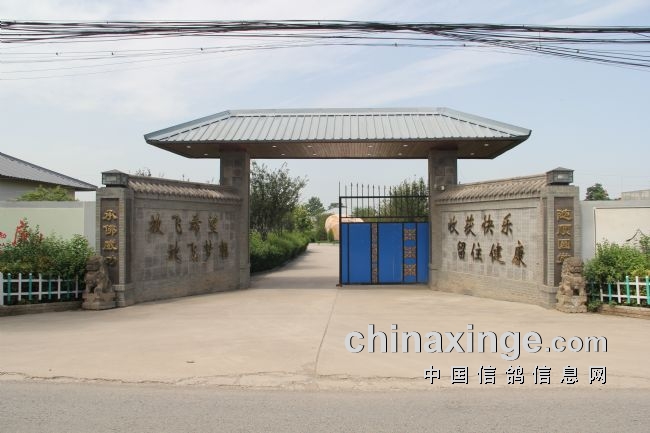 �������ܴ��ץ������� �ٶ�ѵ����