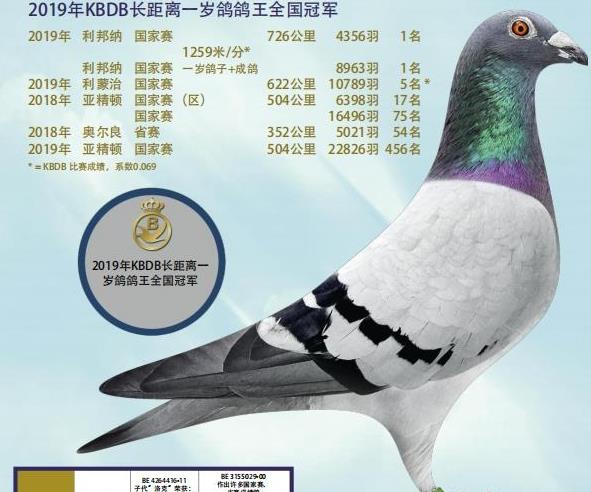 �ز������¾��������ĳɼ���