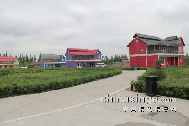 �������ɴ������죺�����ܹ�ӭ���ź죡