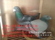 90��������޻Ե���������ؼ�:һ·��������ȫ��