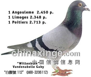 ÿ��һ�룺�ǱȻƽ��ֹ����׸��š�