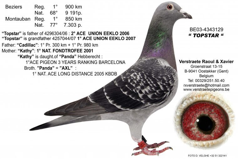 ÿ��һ�룺��һ�޶��ġ����Ǻš�