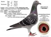 ÿ��һ�룺��һ�޶��ġ����Ǻš�