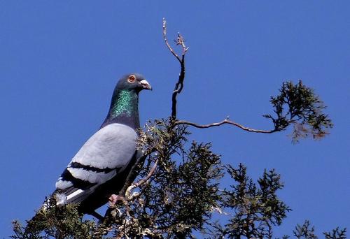 ��̨������£�������� ������Բ������