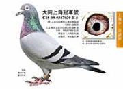 �Ϻ�����ǿ�����ָ�����