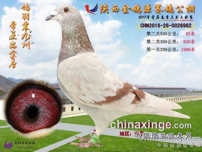 �����Ա�ս�������������զ����