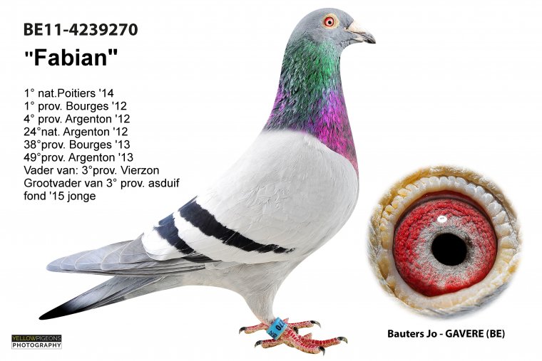 ÿ��һ�룺�����롰���Ȱ���