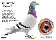 ÿ��һ�룺�����롰���Ȱ���