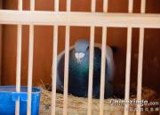 �����ǻ��������İ���