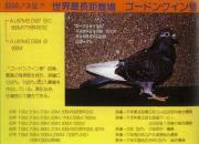 �ݺ�ȫ����̳��ʮ��ĸ�Ǹ���