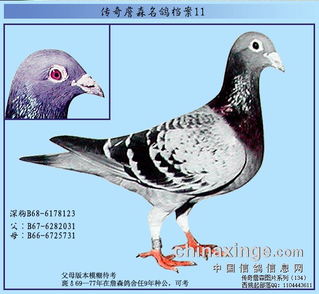 ����ղɭ���뵵��֮����