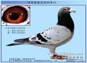 ����ղɭ���뵵��֮��½��