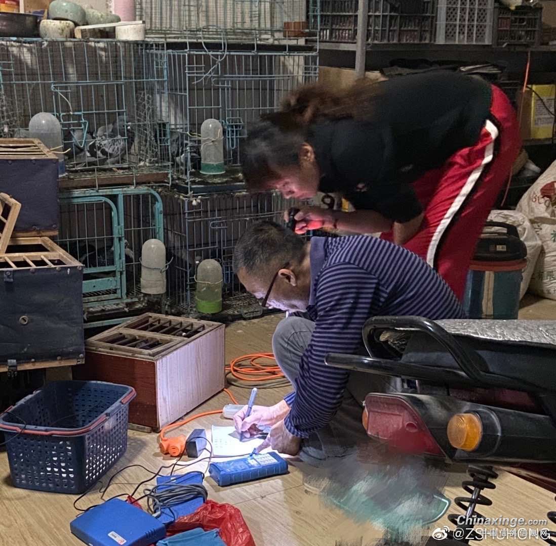 ûǮ��Ҫ�����룿