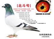 ÿ��һ�룺�й����조�����š�