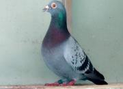 ����롱���棺��̭���Ŵηɳ��óɼ�