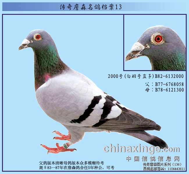 ����ղɭ���뵵��֮������2000��