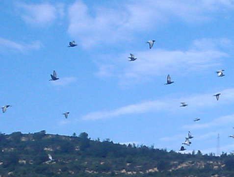 �����˵���Ը