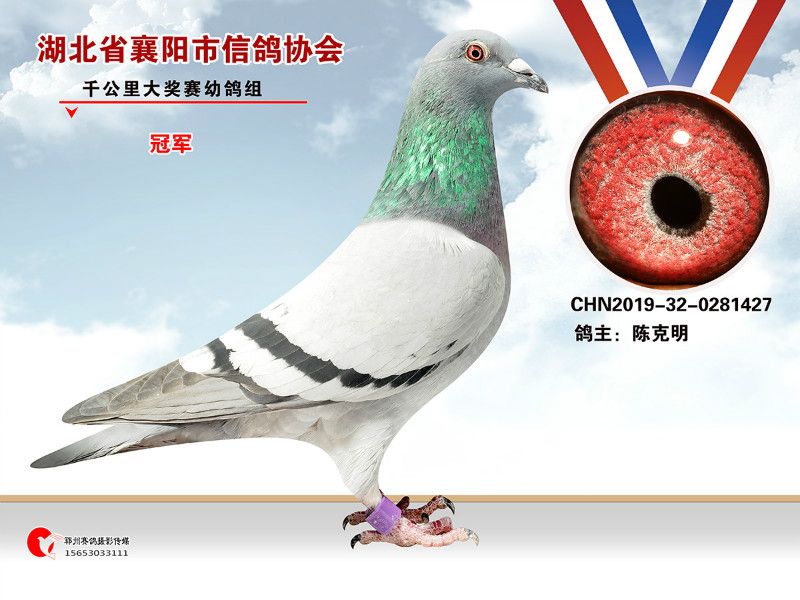 ǧ�����ر��� ���з�