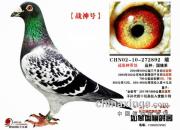 ÿ��һ�룺��ģϵ���϶��š�