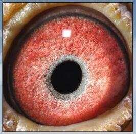 ɽ��Ʈ������֮��