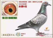 һֻ���ӵ�������ġ�̨�롱��ͼ��