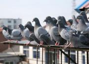 �����˵�һ�죺����˯���һ���æ