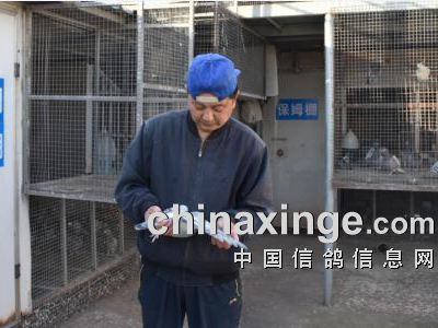 ����ʵս���� ��������˫