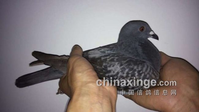 ÿ��һ�룺��������С���㡱