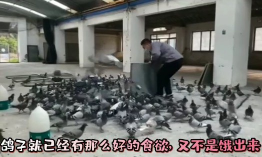 �����������������м��õ�ʳ����