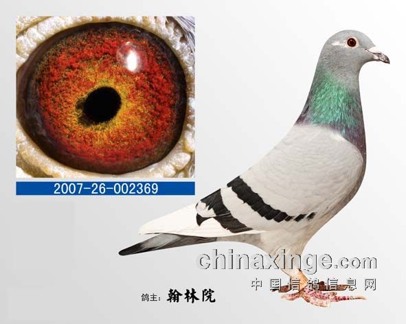 ���գ��׸��ڲ�ͬ���̵���ι����