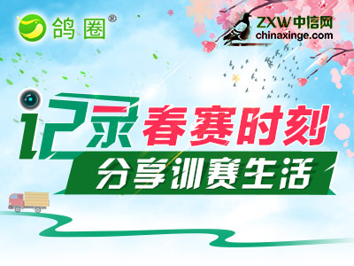 鸽圈“春赛时刻”活动开启 撸起袖子加油干！