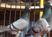 �����ع飡һ�����˵��Ǿ�