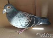 ��봫�棺�����Ĵ������ʼ���