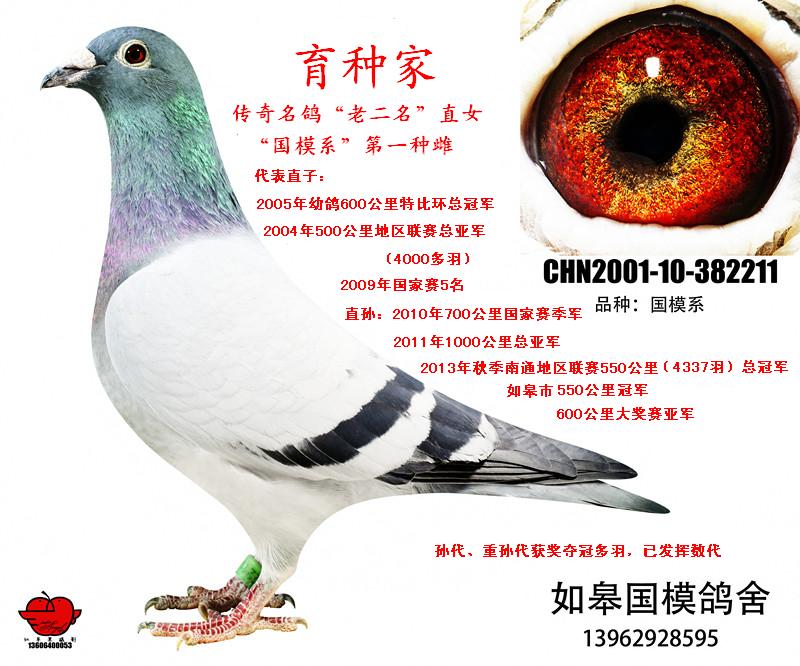 ÿ��һ�룺����֮�����϶�����