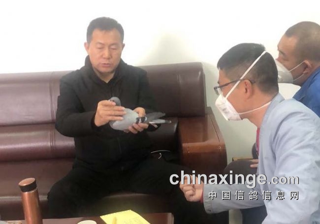 �������������׹����˱����꽨�����Ӯ�ң�