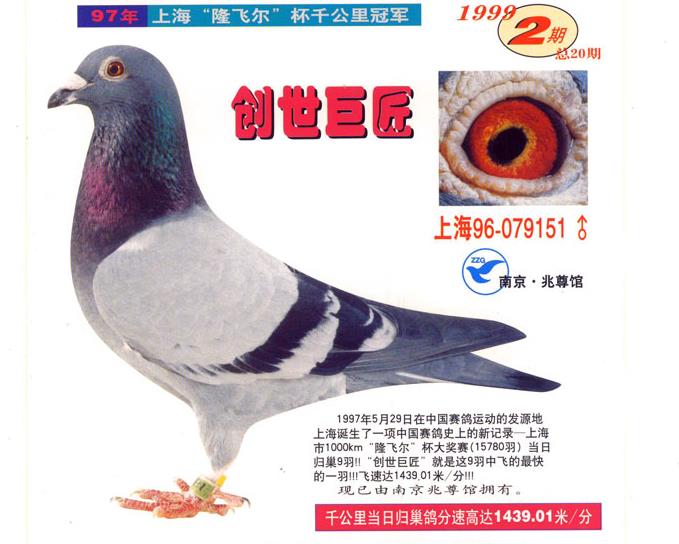 ÿ��һ�룺�����Ϻ�ǧ���ﵱ�չ�ھ�