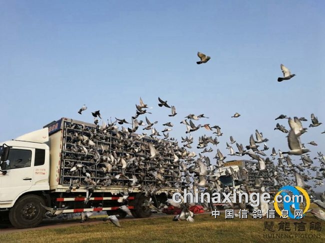 �ƶ�ǰ�У���������100����ɹ�������ս���ߡ�������ͼ��