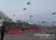 �������Դ�ٹ�������鳲Ѹ��