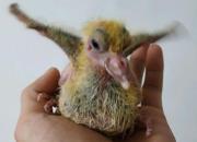 ����˲�䣺������2020��3�¾���ͼƬ 