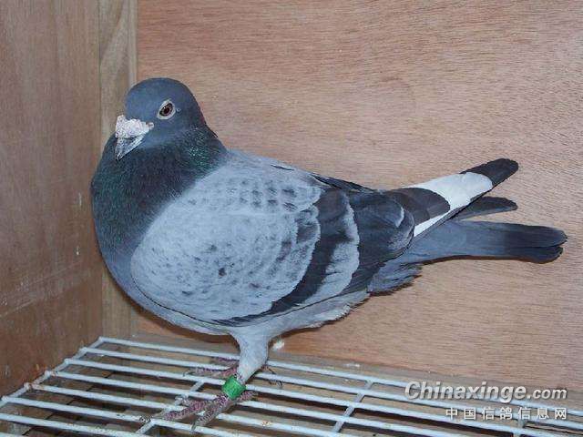 ��Ѿ����˷��ڡ����֡���