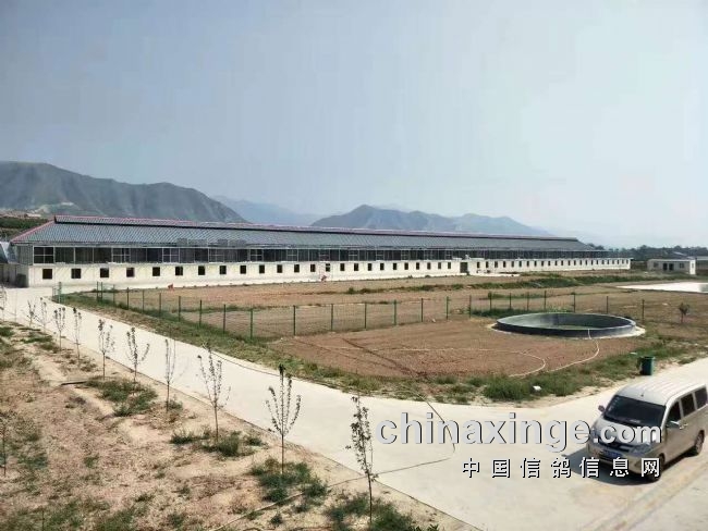 ����������������Դ���ƺ�ҹ��������ͼ��