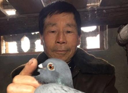 �峤�Ǹ�������