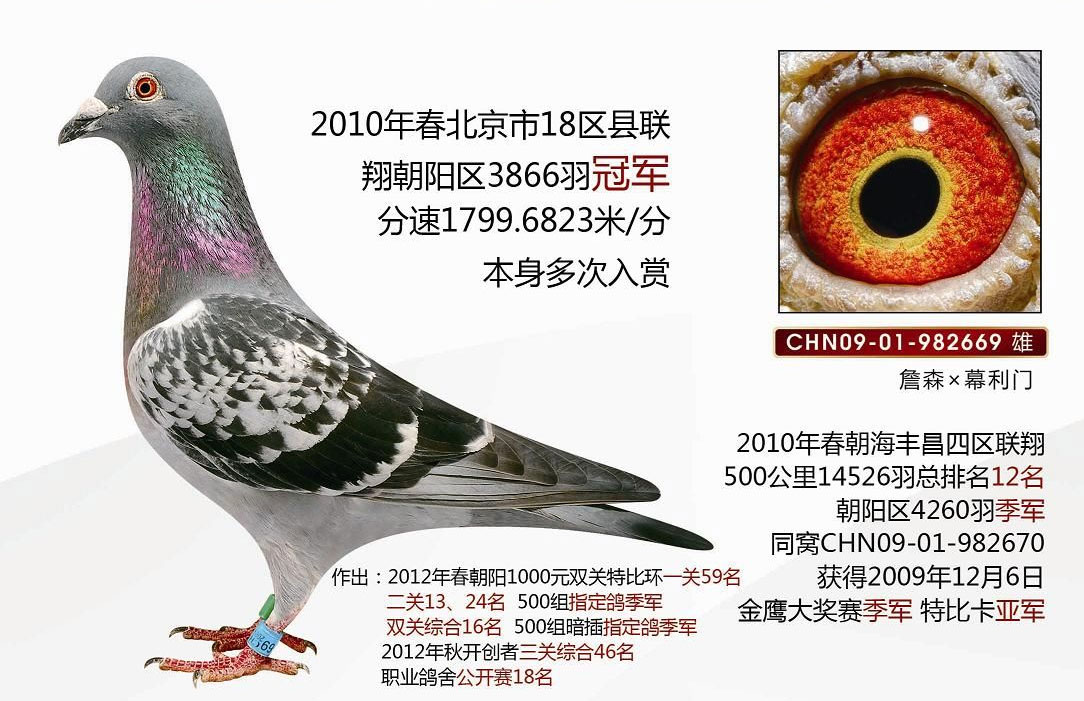 �̵㱱�������ܹھ� �߼������