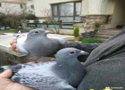 ����ԡ�ѵ�Ŷ�ʧ132������ڻؼ�